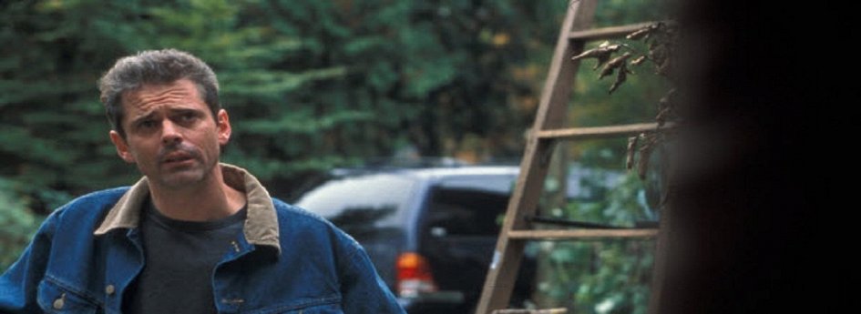 Кино: «Пчелы-убийцы» Кино: «Пчелы-убийцы»