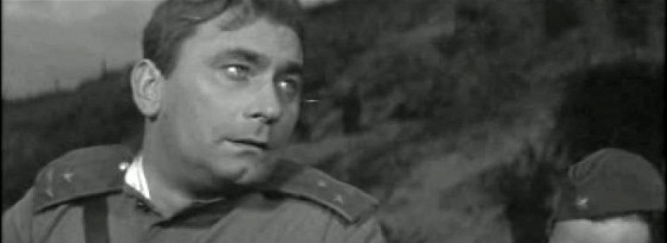 Кино: «Дикий мед» Кино: «Дикий мед»