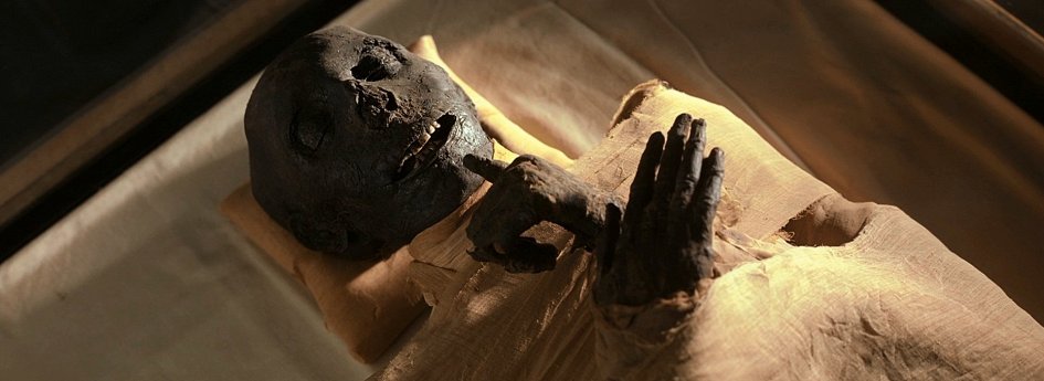 Кино: «Мумии: Секреты фараонов 3D» Кино: «Мумии: Секреты фараонов 3D»