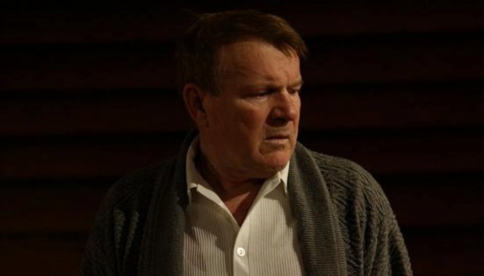 Театр: Добрый вечер, папа! Театр: Добрый вечер, папа!