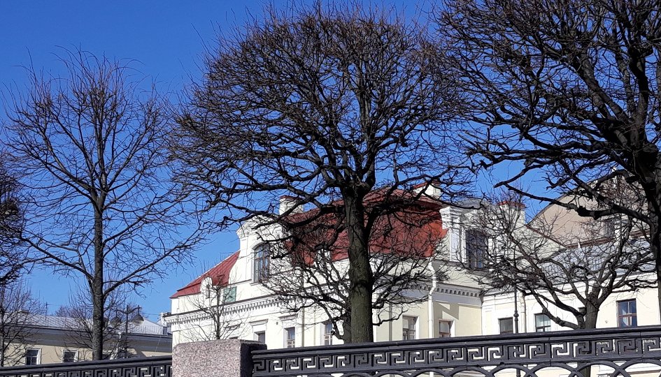 Выставки: Рождественская выставка Выставки: Рождественская выставка