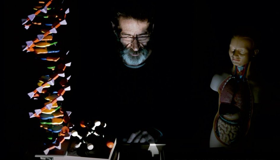 Кино: «E Agora? Lembra-me» Кино: «E Agora? Lembra-me»