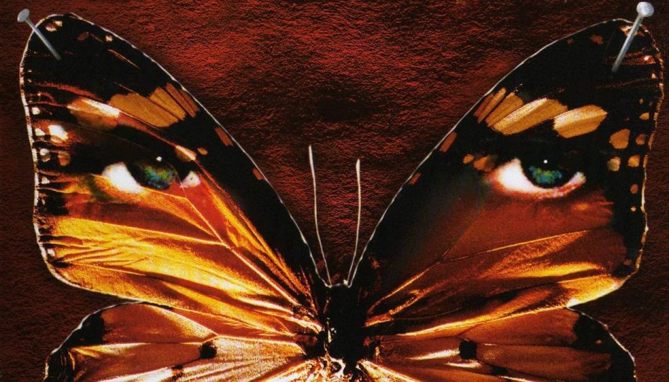 Кино: «Коллекционер» Кино: «Коллекционер»