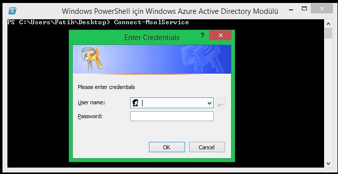 Coding Grounds: Using Powershell to download multiple