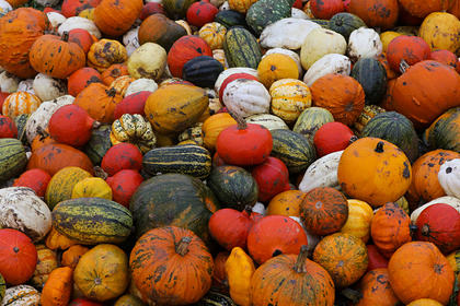 Назван идеальный продукт для похудения осенью