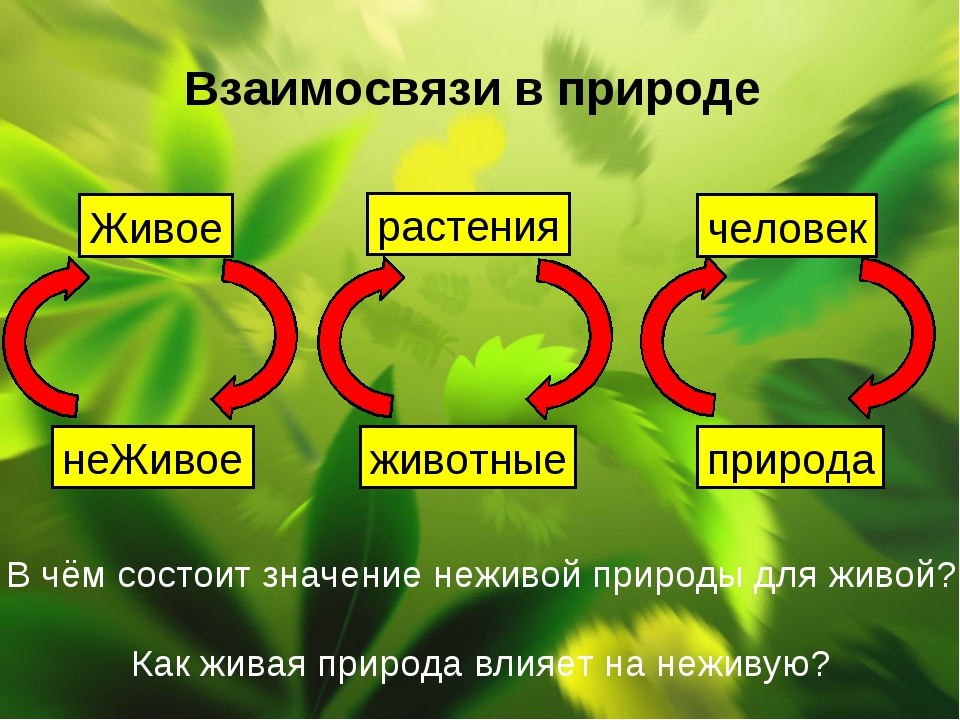 СЕСТРЕ - поздравления с днем рождения в стихах - ПоздраВита 97 СЕСТРЕ - поздравления с днем рождения в стихах - ПоздраВита 89