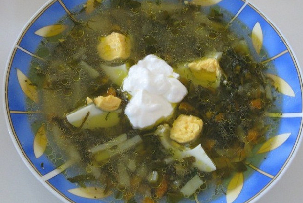 Как варить зеленые щи из щавеля на мясном бульоне 2